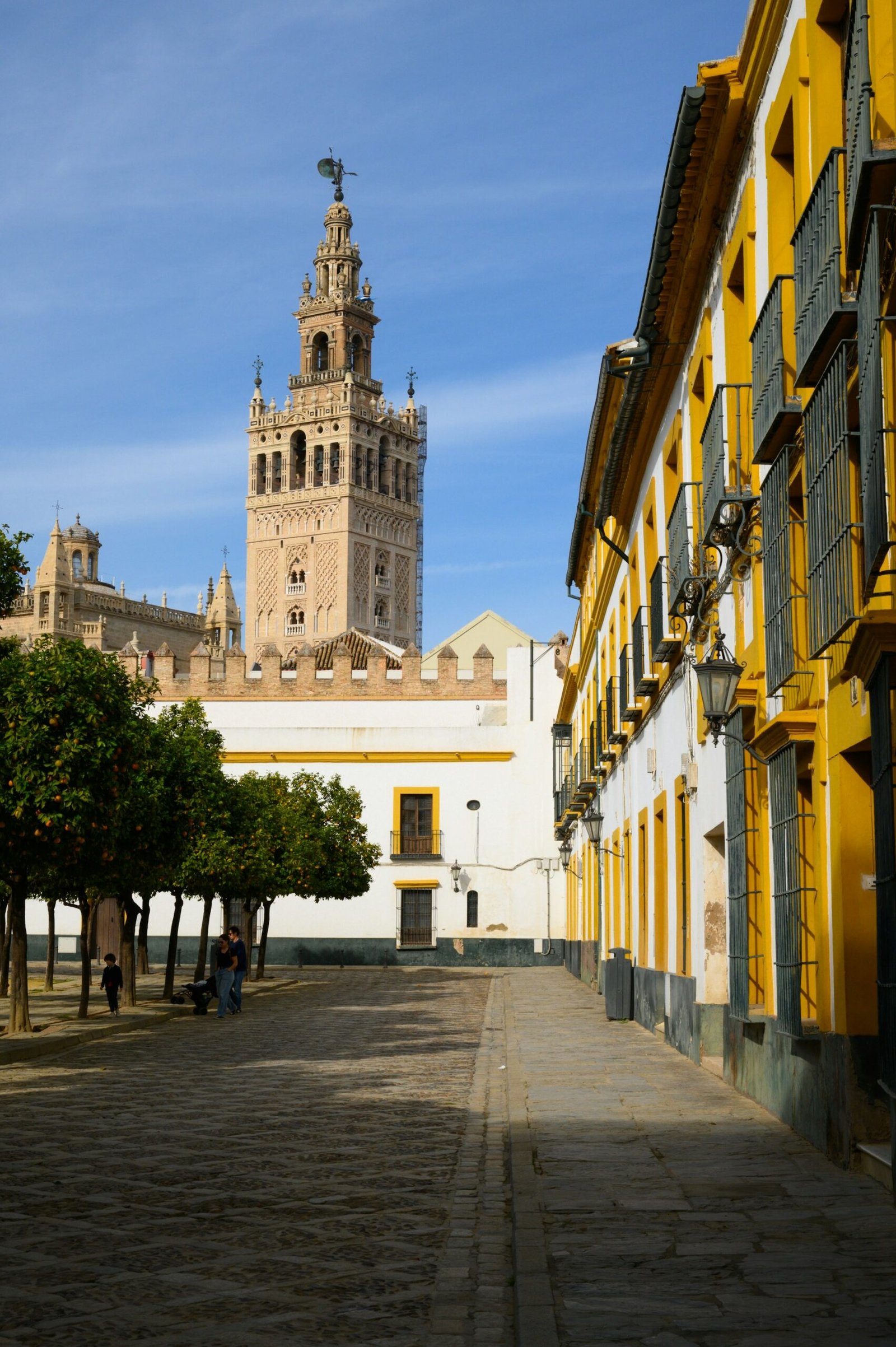 Giralda tower seen from Patio de Banderas at sunrise, Santa Cruz, Seville